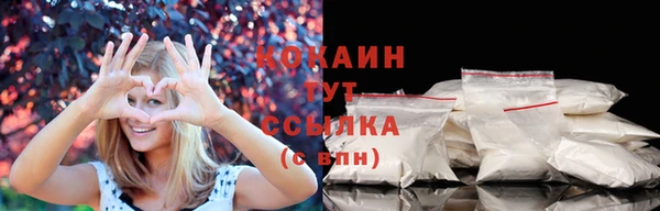 дживик Липки