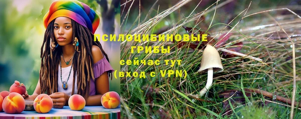 бошки Лагань