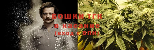 шишки Лихославль