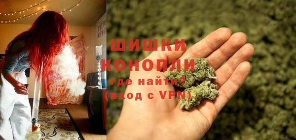 дживик Липки